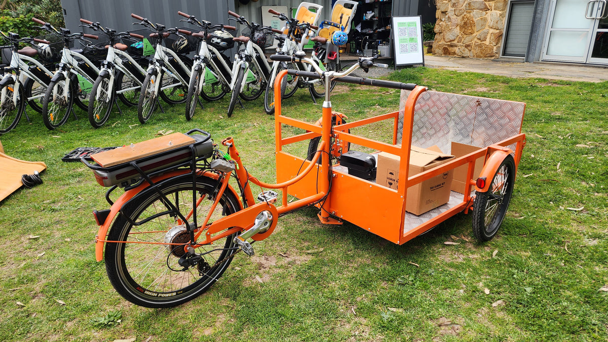 Cargo and specialty bike